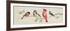 Festive Birds Panel I Linen-Danhui Nai-Framed Art Print