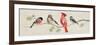 Festive Birds Panel I Linen-Danhui Nai-Framed Premium Giclee Print