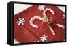 Festive Christmas Place Setting-Tammy Hanratty-Framed Stretched Canvas