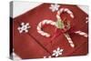 Festive Christmas Place Setting-Tammy Hanratty-Stretched Canvas