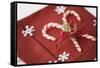 Festive Christmas Place Setting-Tammy Hanratty-Framed Stretched Canvas