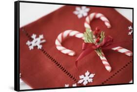 Festive Christmas Place Setting-Tammy Hanratty-Framed Stretched Canvas