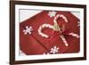 Festive Christmas Place Setting-Tammy Hanratty-Framed Photographic Print