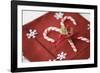 Festive Christmas Place Setting-Tammy Hanratty-Framed Photographic Print