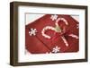 Festive Christmas Place Setting-Tammy Hanratty-Framed Photographic Print