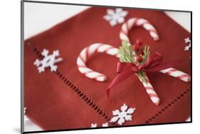 Festive Christmas Place Setting-Tammy Hanratty-Mounted Photographic Print