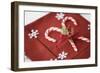 Festive Christmas Place Setting-Tammy Hanratty-Framed Photographic Print