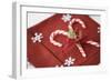 Festive Christmas Place Setting-Tammy Hanratty-Framed Photographic Print