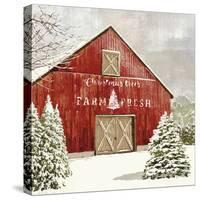 Festive Farm - Barn-Mark Chandon-Stretched Canvas