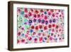 Festive Flower Patterns II-Li Bo-Framed Giclee Print