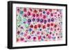 Festive Flower Patterns II-Li Bo-Framed Giclee Print