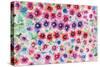 Festive Flower Patterns II-Li Bo-Stretched Canvas