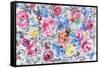 Festive Flower Patterns VI-Li Bo-Framed Stretched Canvas