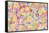 Festive Flower Patterns VII-Li Bo-Framed Stretched Canvas