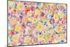 Festive Flower Patterns VII-Li Bo-Mounted Giclee Print