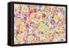 Festive Flower Patterns VII-Li Bo-Framed Stretched Canvas