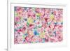 Festive Flower Patterns VIII-Li Bo-Framed Giclee Print