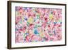 Festive Flower Patterns VIII-Li Bo-Framed Giclee Print