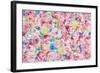 Festive Flower Patterns VIII-Li Bo-Framed Giclee Print