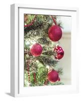 Festive Frills-Assaf Frank-Framed Giclee Print