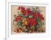 Festive Poinsettia Basket-Barbara Mock-Framed Premium Giclee Print