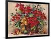 Festive Poinsettia Basket-Barbara Mock-Framed Giclee Print