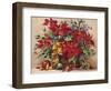 Festive Poinsettia Basket-Barbara Mock-Framed Giclee Print