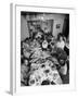 Festive Spread Through Dining Room at La Falce Family Reunion-Ralph Morse-Framed Photographic Print