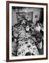 Festive Spread Through Dining Room at La Falce Family Reunion-Ralph Morse-Framed Photographic Print