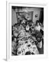 Festive Spread Through Dining Room at La Falce Family Reunion-Ralph Morse-Framed Photographic Print