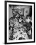 Festive Spread Through Dining Room at La Falce Family Reunion-Ralph Morse-Framed Photographic Print