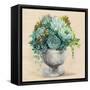 Festive Succulents I-Julia Purinton-Framed Stretched Canvas