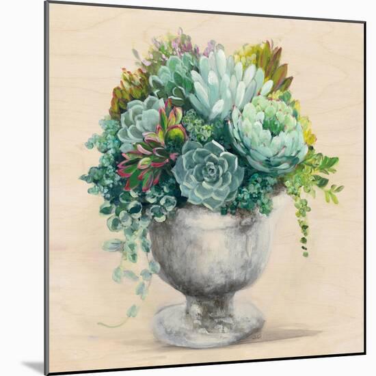 Festive Succulents I-Julia Purinton-Mounted Art Print