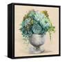 Festive Succulents I-Julia Purinton-Framed Stretched Canvas