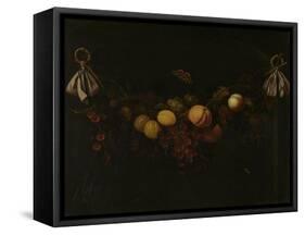 Festoon of Fruits-Johannes Borman-Framed Stretched Canvas