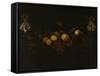 Festoon of Fruits-Johannes Borman-Framed Stretched Canvas