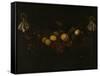 Festoon of Fruits-Johannes Borman-Framed Stretched Canvas