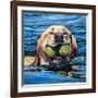 Fetch-Kathryn Wronski-Framed Art Print