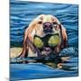 Fetch-Kathryn Wronski-Mounted Art Print