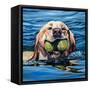 Fetch-Kathryn Wronski-Framed Stretched Canvas