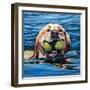 Fetch-Kathryn Wronski-Framed Art Print