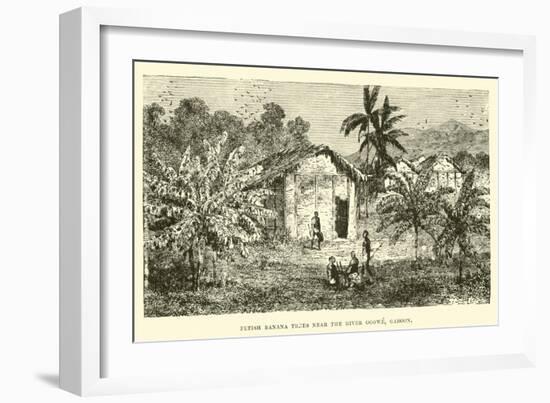 Fetish Banana Trees Near the River Ogowe, Gaboon-null-Framed Giclee Print