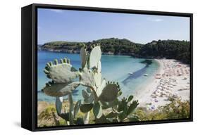 Fetovaia Beach, Island of Elba, Livorno Province, Tuscany, Italy-Markus Lange-Framed Stretched Canvas