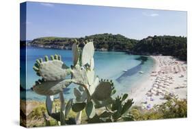 Fetovaia Beach, Island of Elba, Livorno Province, Tuscany, Italy-Markus Lange-Stretched Canvas