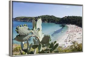 Fetovaia Beach, Island of Elba, Livorno Province, Tuscany, Italy-Markus Lange-Framed Photographic Print