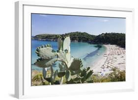 Fetovaia Beach, Island of Elba, Livorno Province, Tuscany, Italy-Markus Lange-Framed Photographic Print
