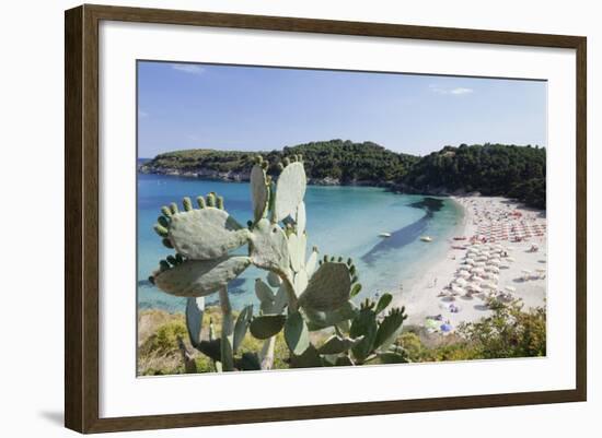 Fetovaia Beach, Island of Elba, Livorno Province, Tuscany, Italy-Markus Lange-Framed Photographic Print