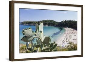 Fetovaia Beach, Island of Elba, Livorno Province, Tuscany, Italy-Markus Lange-Framed Photographic Print