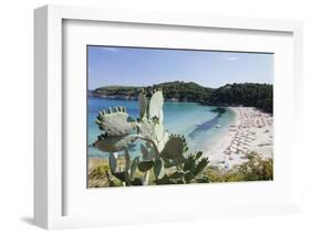 Fetovaia Beach, Island of Elba, Livorno Province, Tuscany, Italy-Markus Lange-Framed Photographic Print