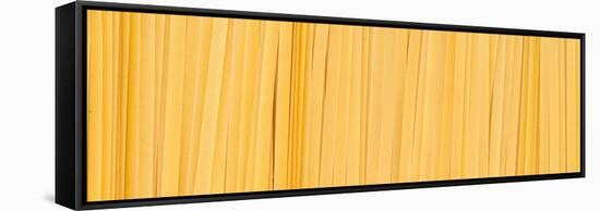 Fettuccine Pasta Number 2-Steve Gadomski-Framed Stretched Canvas